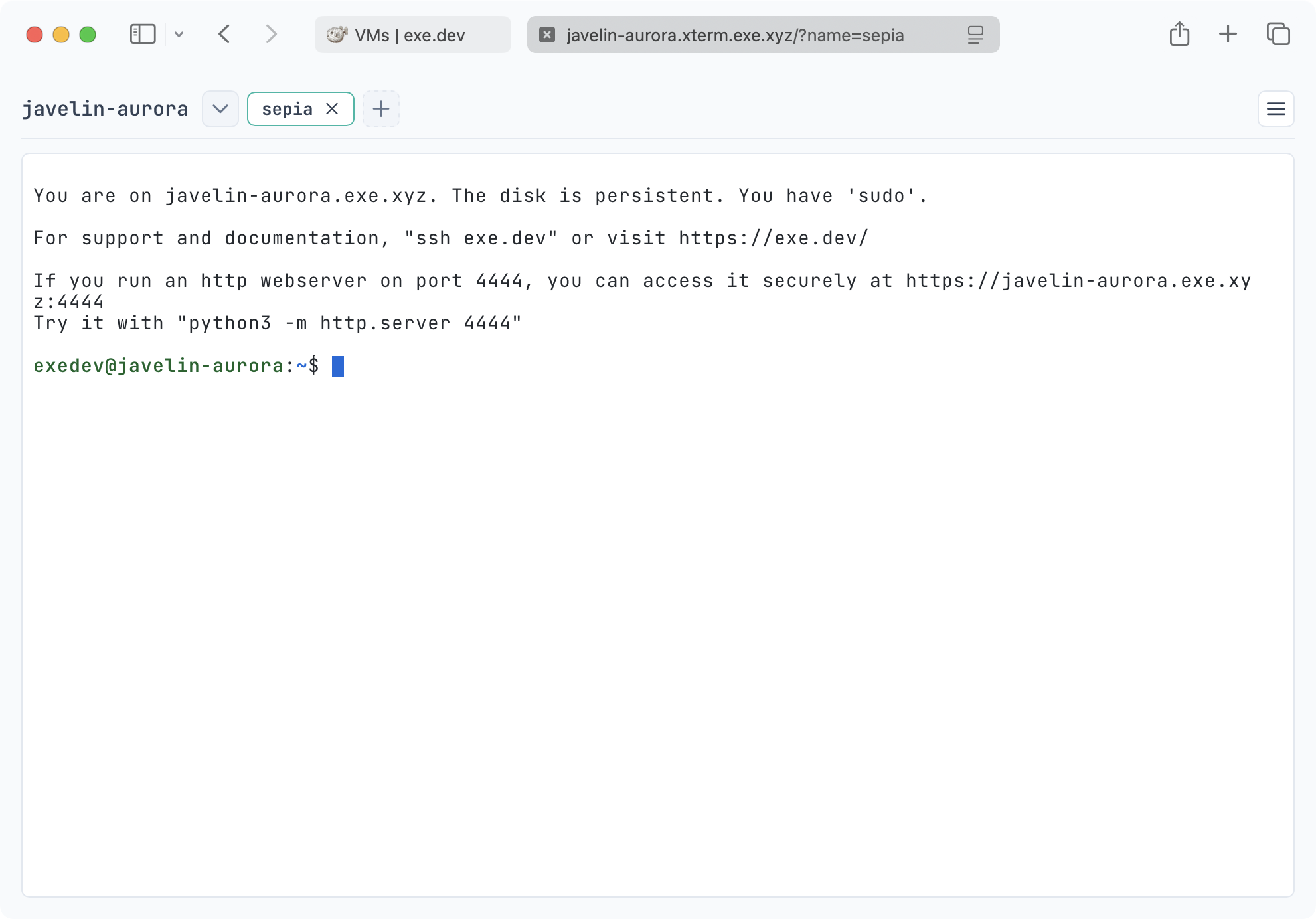 The browser terminal for a VM at vmname.xterm.exe.xyz