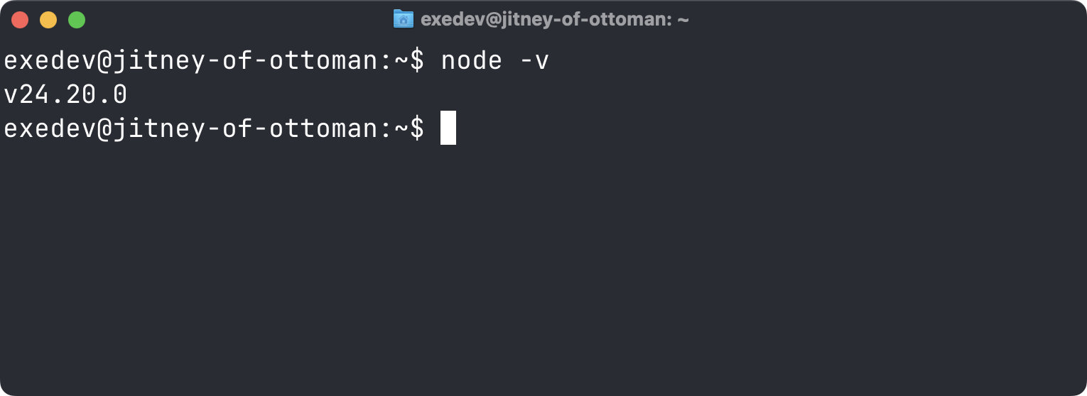 node -v on the VM prints the installed Node.js LTS version
