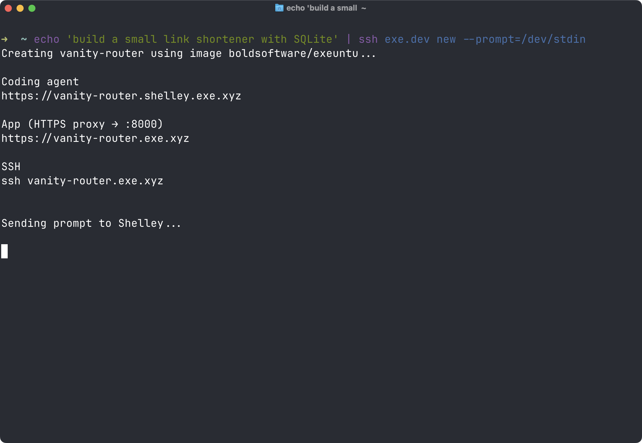 Creating a VM with a prompt: exe.dev prints the Shelley, app, and SSH URLs, then hands the task to Shelley