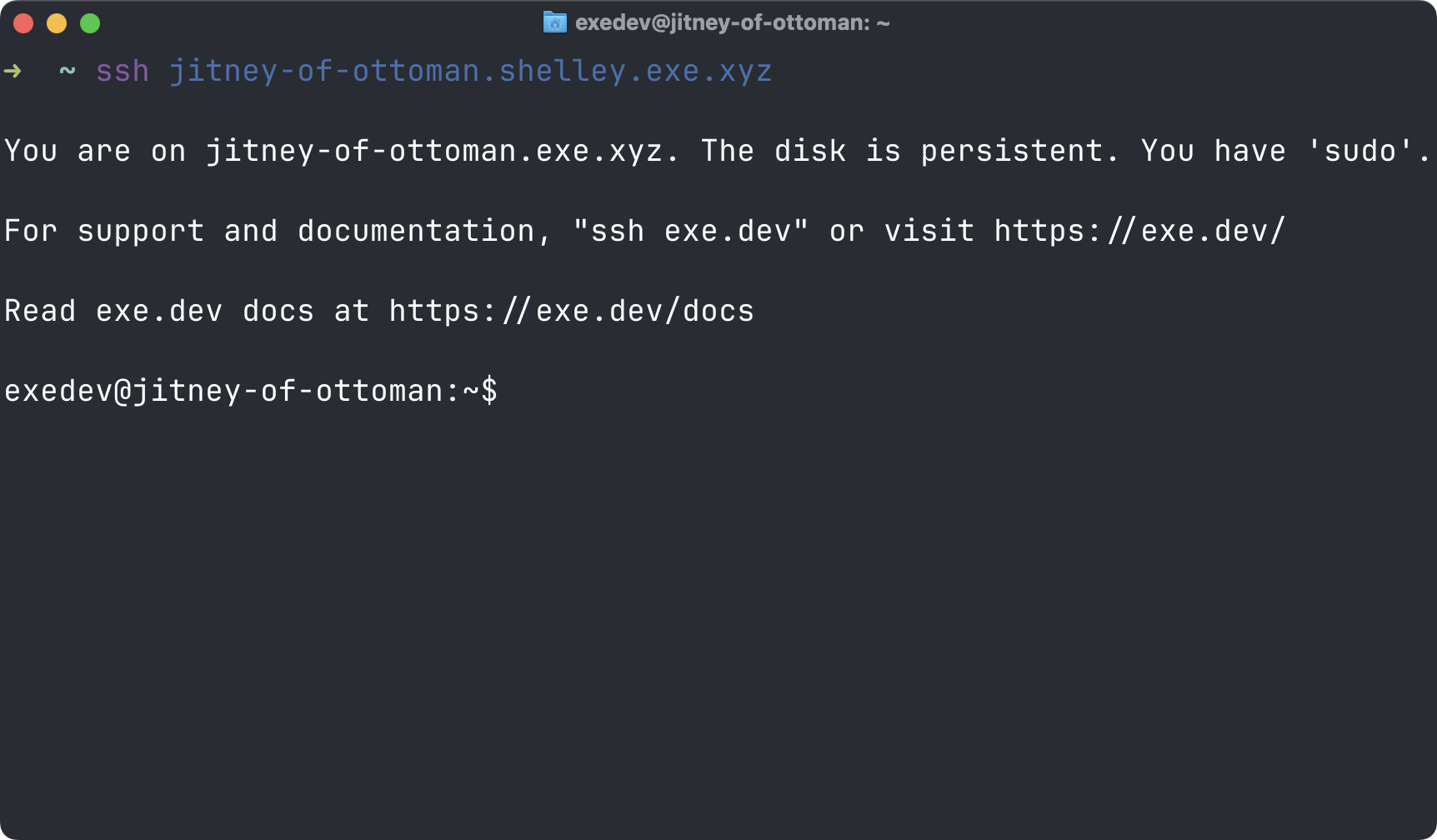 Logged into a VM over SSH: the disk is persistent, you have sudo