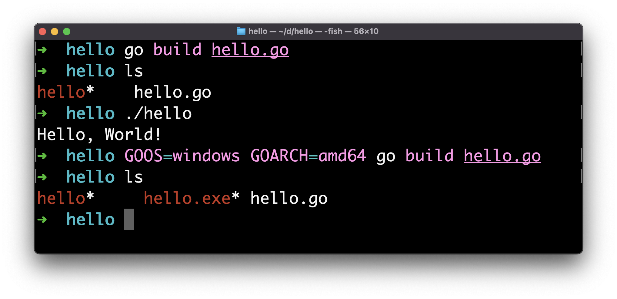 How to compile and run a Go program