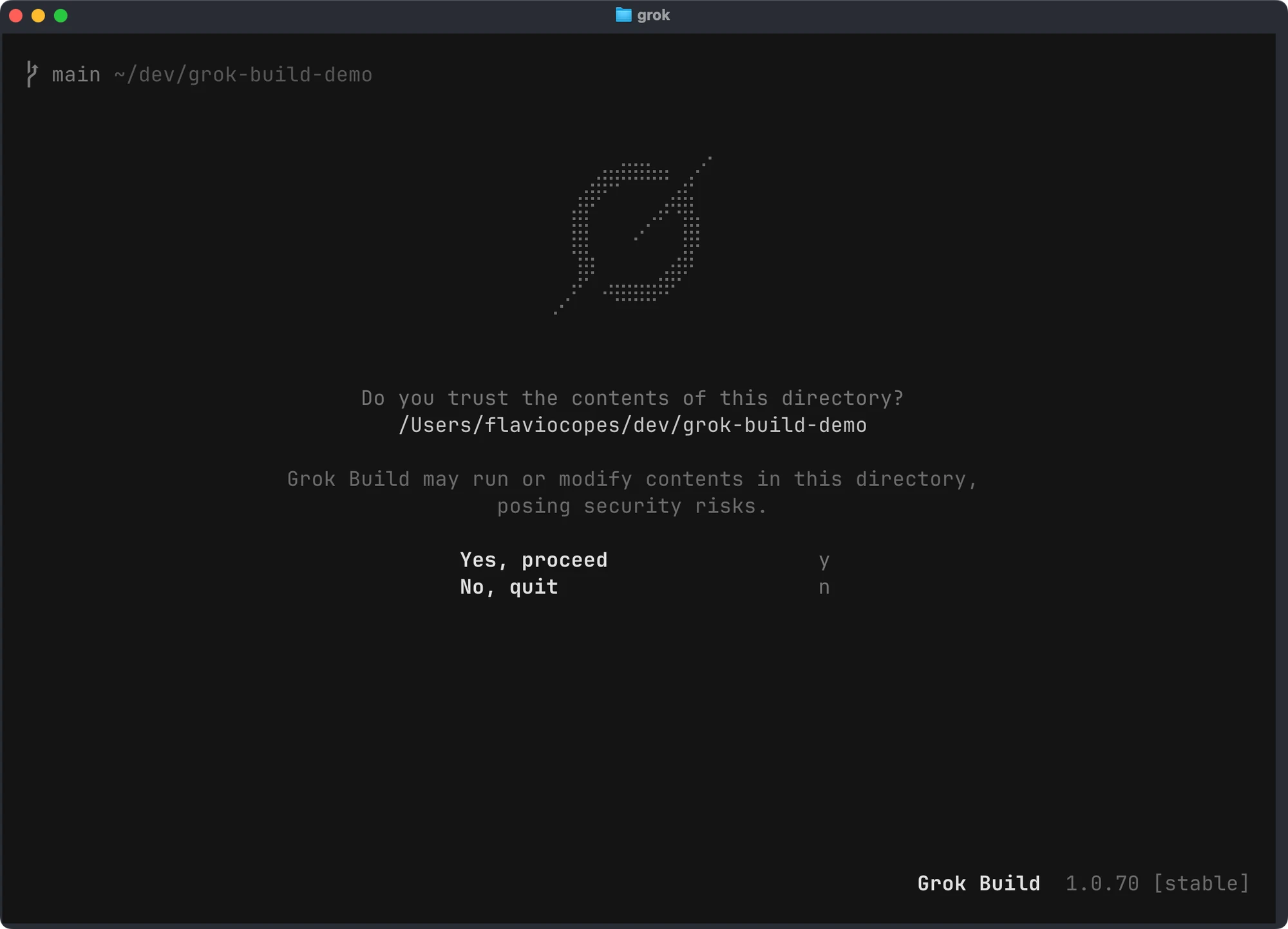 Grok Build asking whether to trust the grok-build-demo directory before continuing