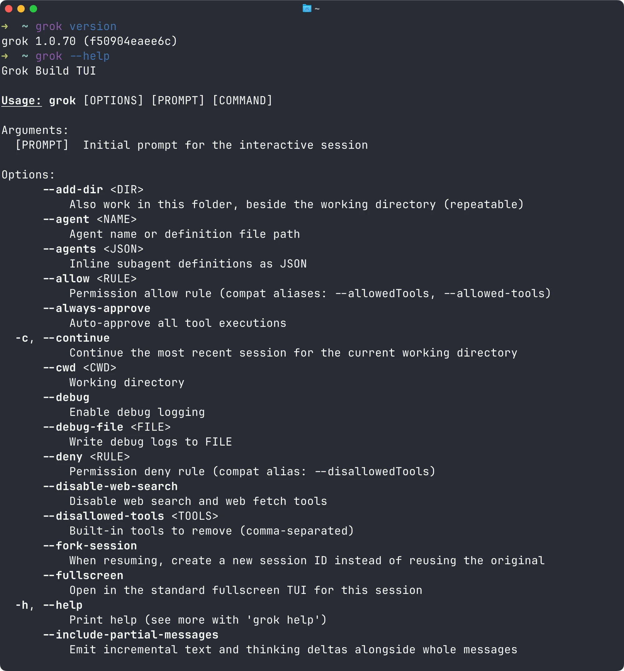 Terminal showing grok version and the available command-line options from grok --help