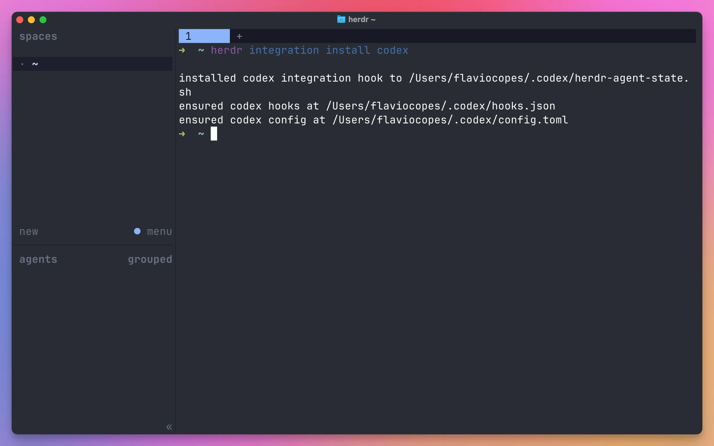 Output of herdr integration install codex, showing the hook script, hooks.json, and config.toml it wrote under ~/.codex