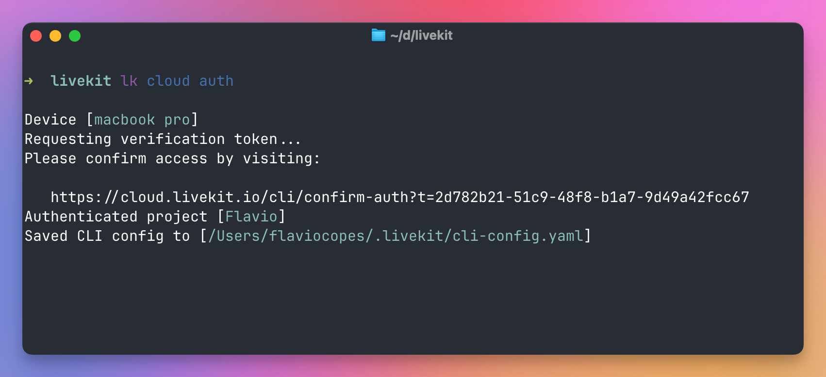 lk cloud auth in the terminal: it prints a confirmation link, then Authenticated project Flavio and the path of the saved CLI config
