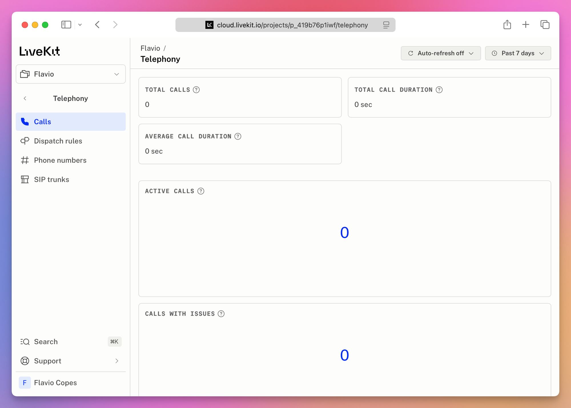 The light-mode Telephony Calls page, with zero calls, zero duration, and no active calls or calls with issues