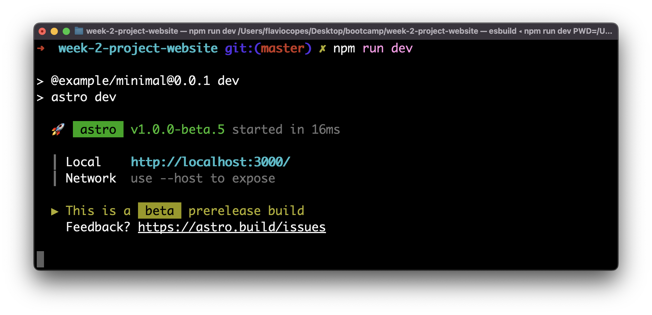 Install Npm Run Watch