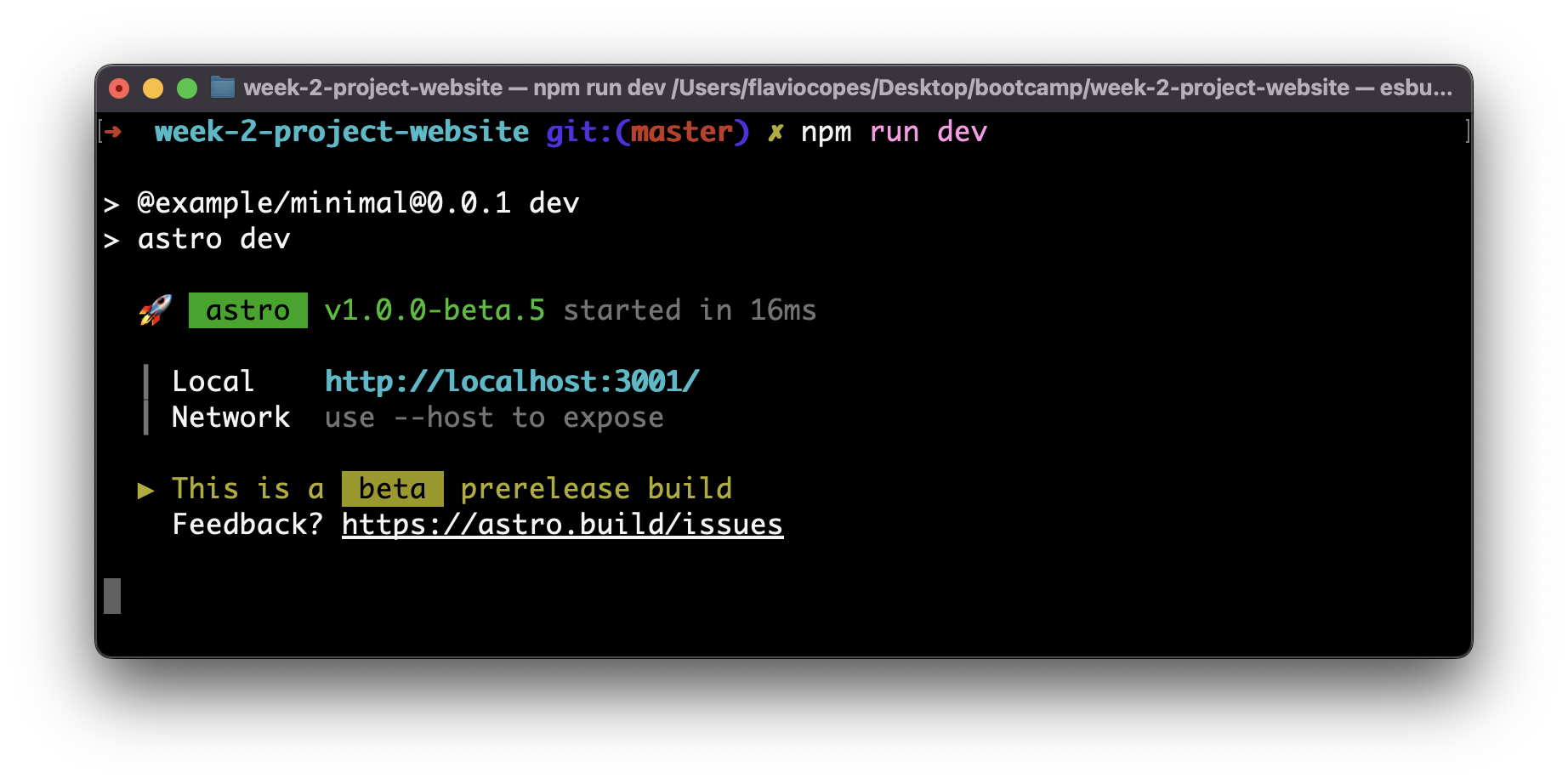 Npm run