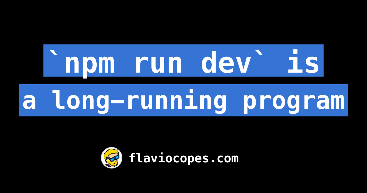 npm-run-dev-is-a-long-running-program