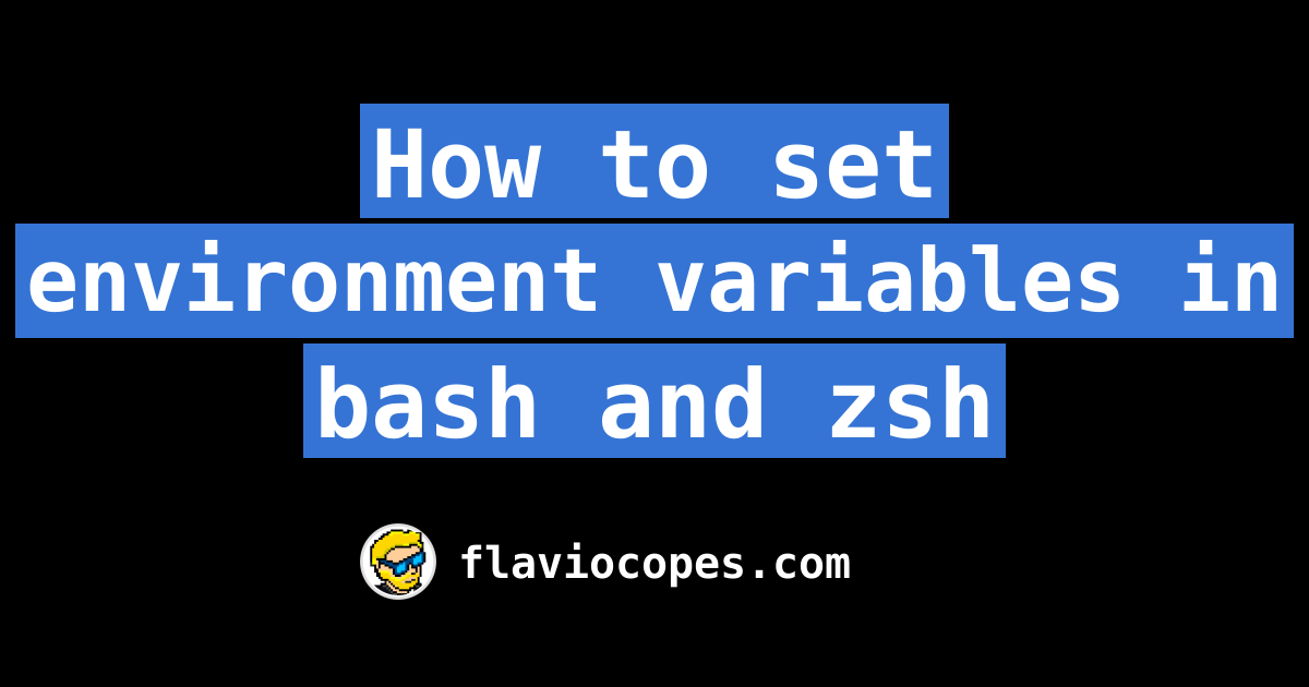 how-to-set-environment-variables-in-bash-and-zsh