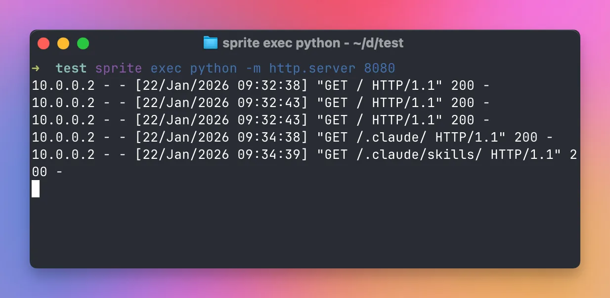 Request logs in the terminal