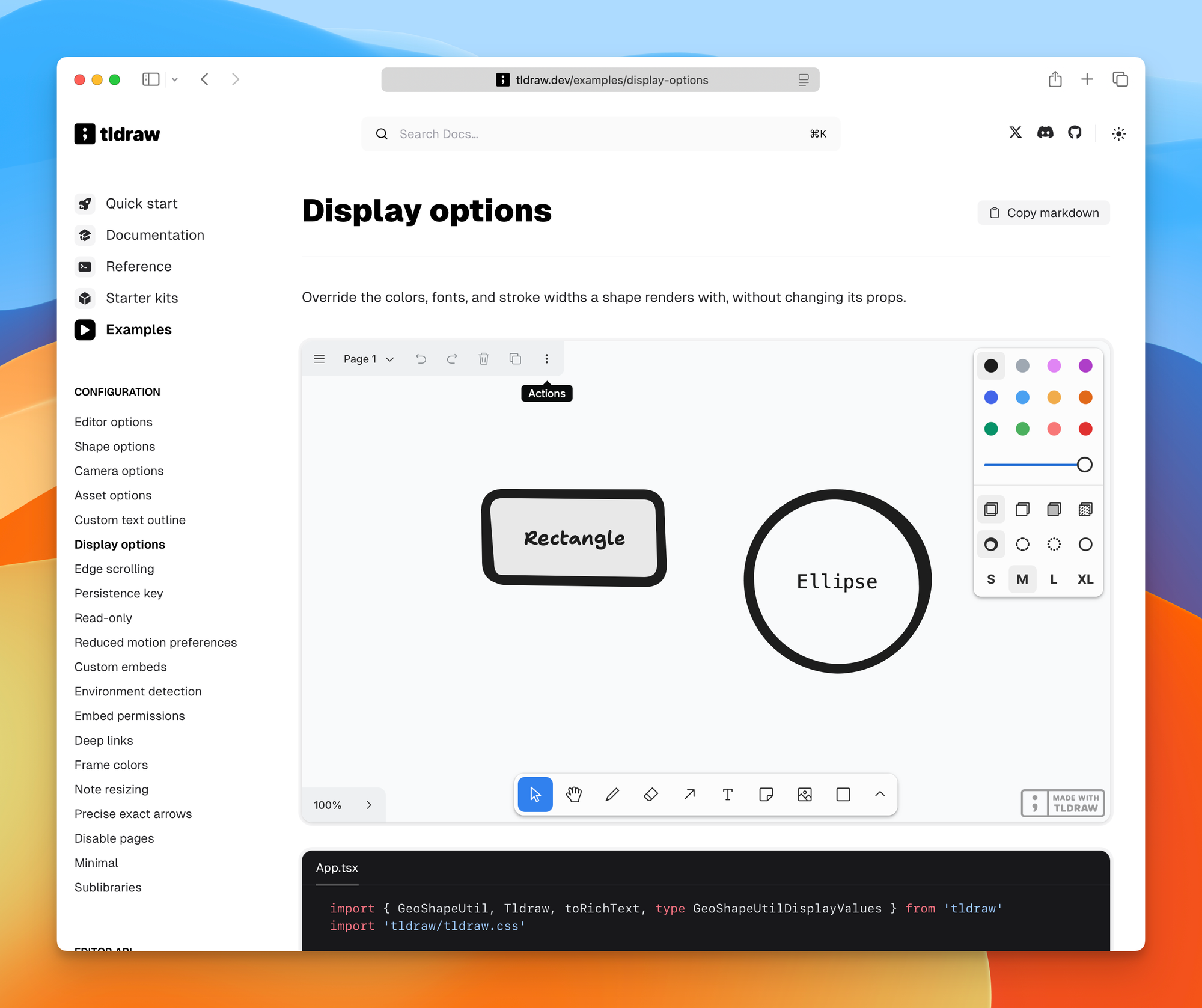 The tldraw SDK display options example