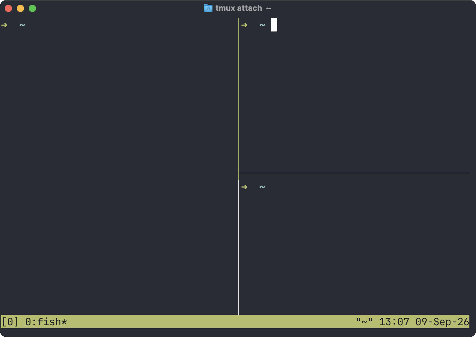 The bottom-right tmux pane selected