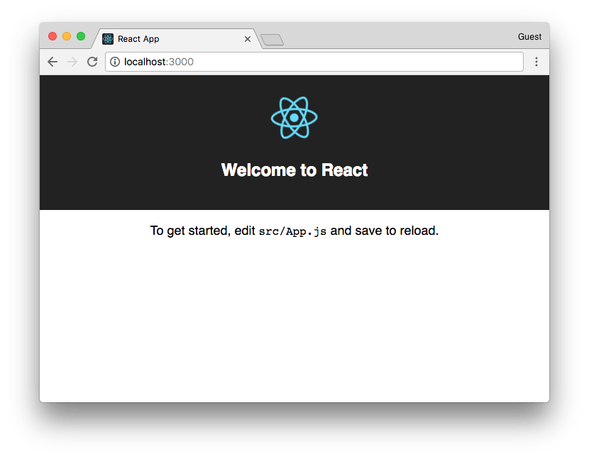 Launch the react app